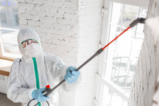 Best Mold Remediation for Healthcare Facilities  in Offutt Af, NE