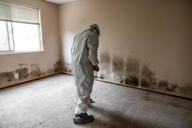 Mold Documentation for Insurance Claims in Offutt Af, NE